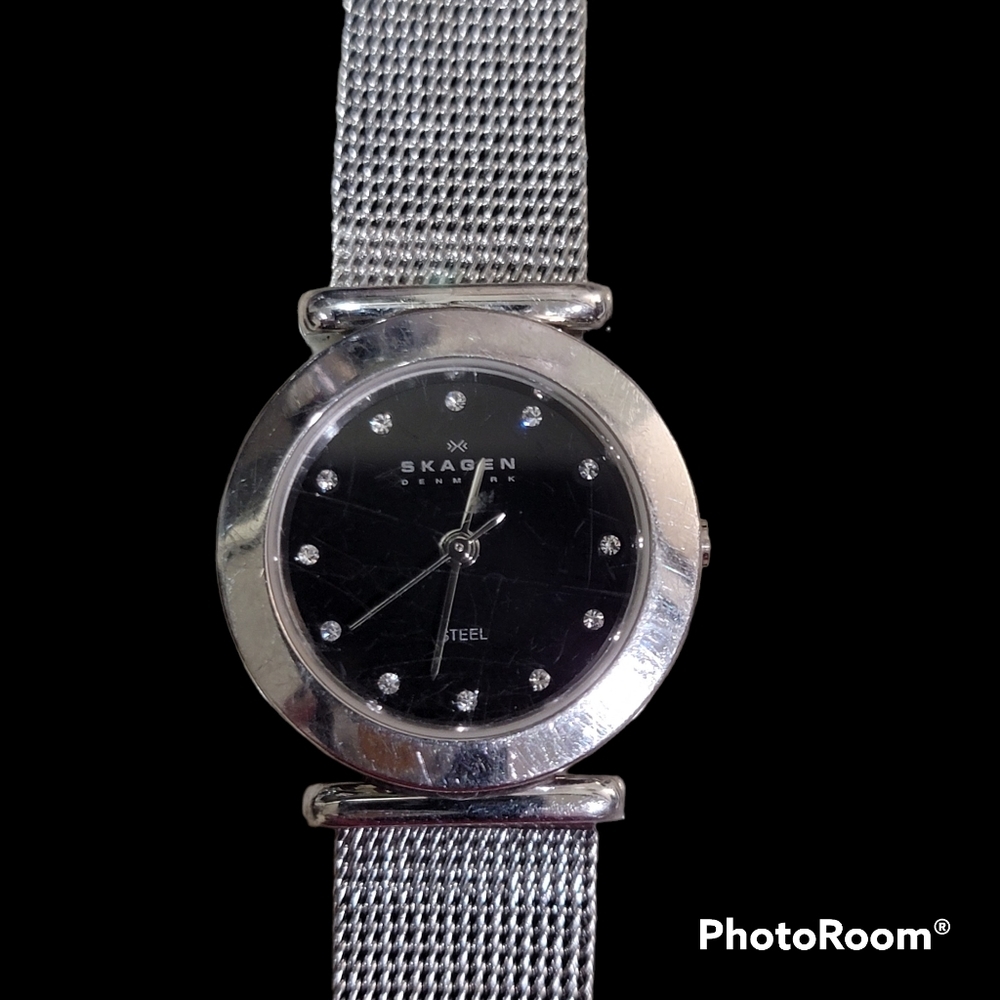 Skagen 107SSSBD Ladies Quartz Watch⏱⏱